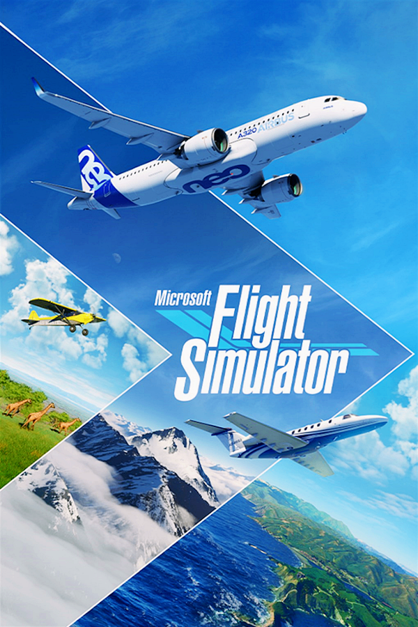 Microsoft Flight Simulator